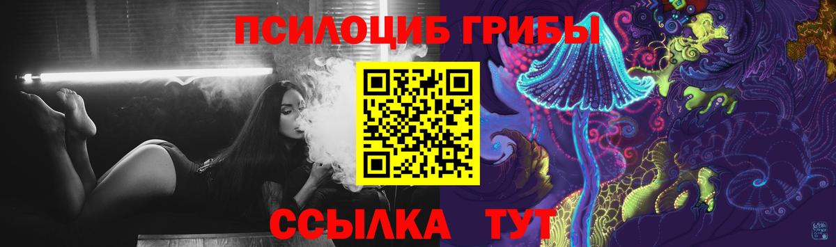 Батайск  Галлюциногенные грибы Psilocybe  Вход с VPN 